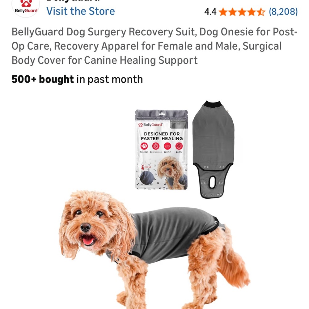 EUC BellyGuard Size Large Dog Recovery Suit for Spay/Neuter Surgery Puppies - Picture 10 of 14